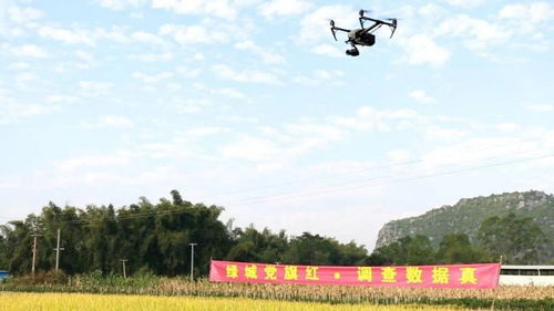 统准粮食数据有了“新武器” 无人机、大数据与智能化引领农业变革
